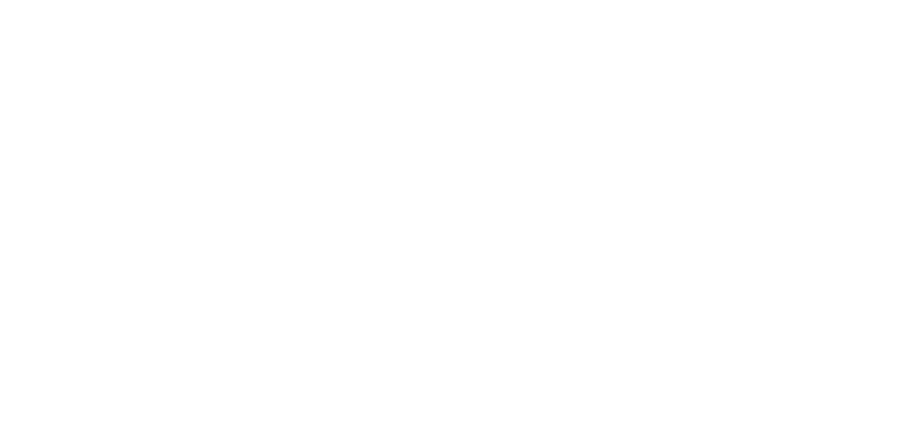 Izzo Studios